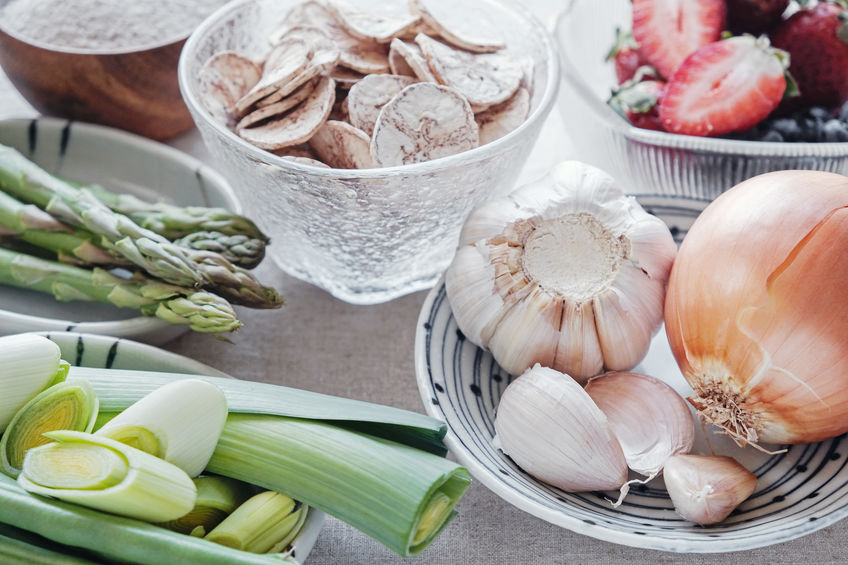 probiotics and prebiotics | Activated You
