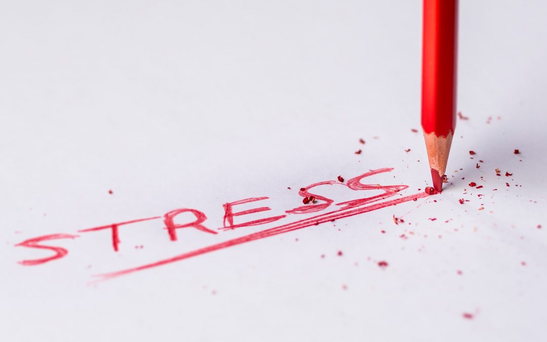 The Real Reason You Eat When You’re Stressed