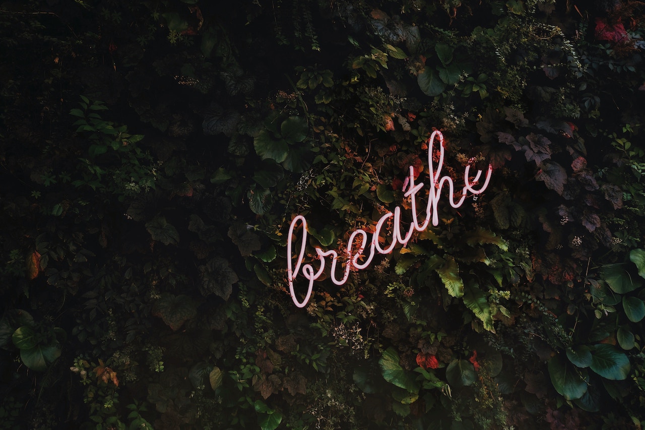 Stress and Cravings | Activated You