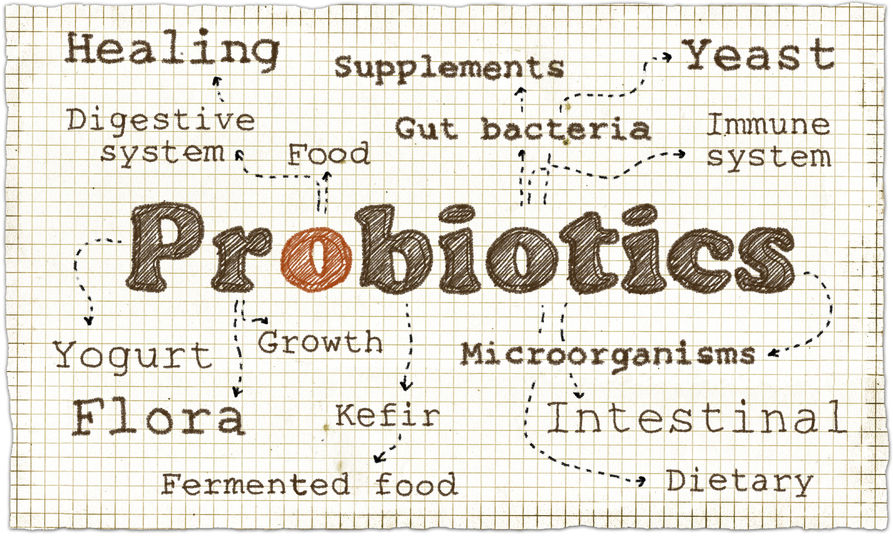 Probiotics for babies | ActivatedYou