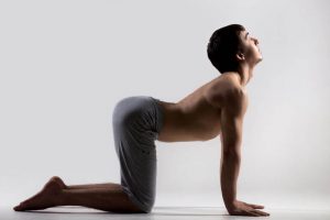 cow pose | ActivatedYou