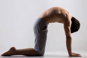 cat pose | ActivatedYou