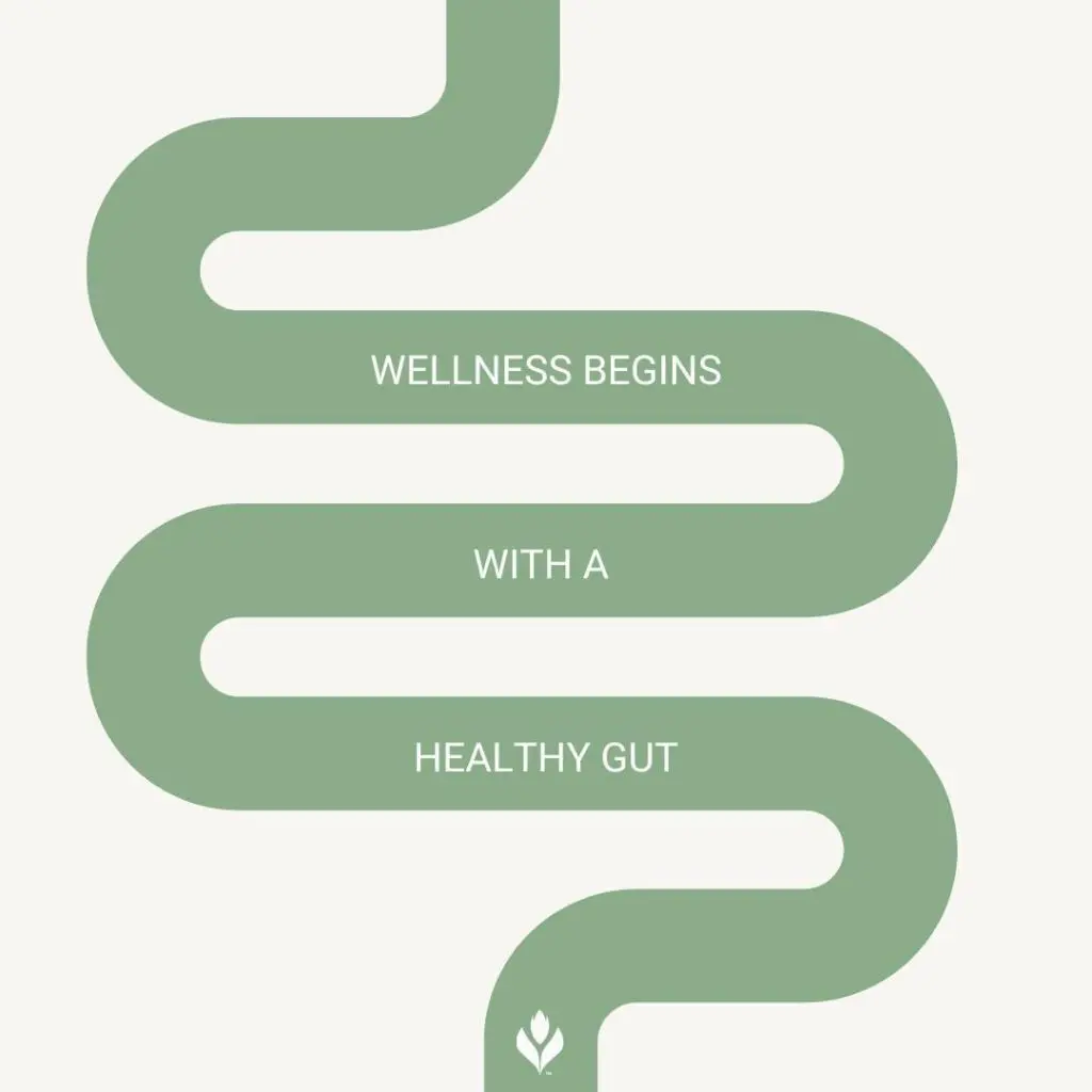 A gut-like infographic with the words "Wellness begins with a healthy gut"