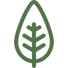An icon of a leaf