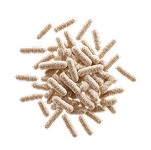 Probiotic Blend