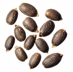 Liver Support Blend